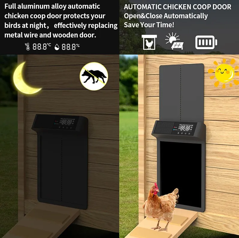 The smart chicken coop door closes automatically at night