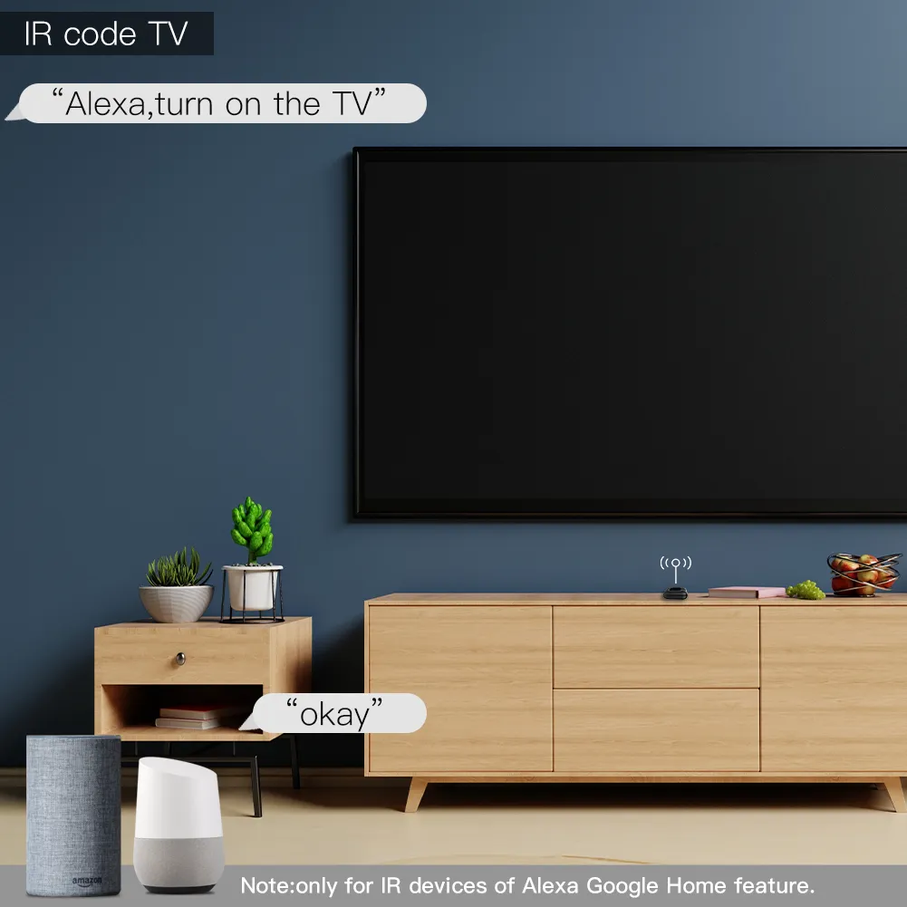Control the TV via RF control remote and Alexa voice commands