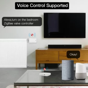 Control por voz del controlador de válvulas Zigbee a través de la pasarela Zigbee Bluetooth