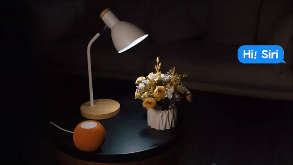 Voice control for the WiFi candle bulb
